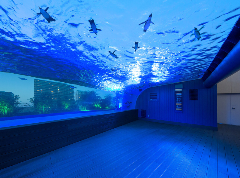 池袋サンシャイン水族館｜都会の屋上で楽しめる癒しスポット